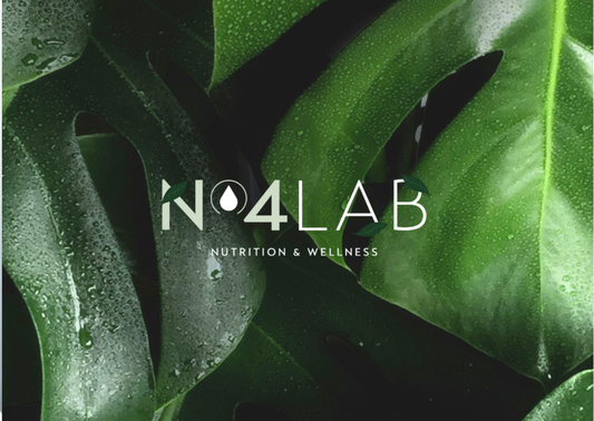 Buono Regalo N4LAB