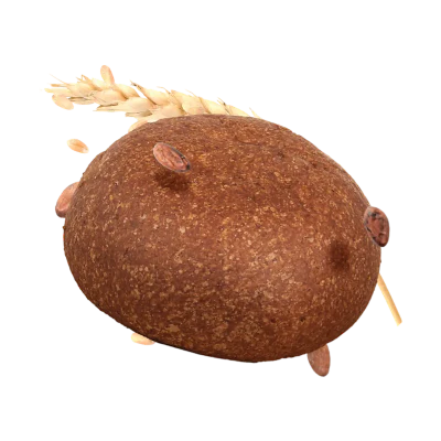 Protobun Stage 2 Cacao 50 g